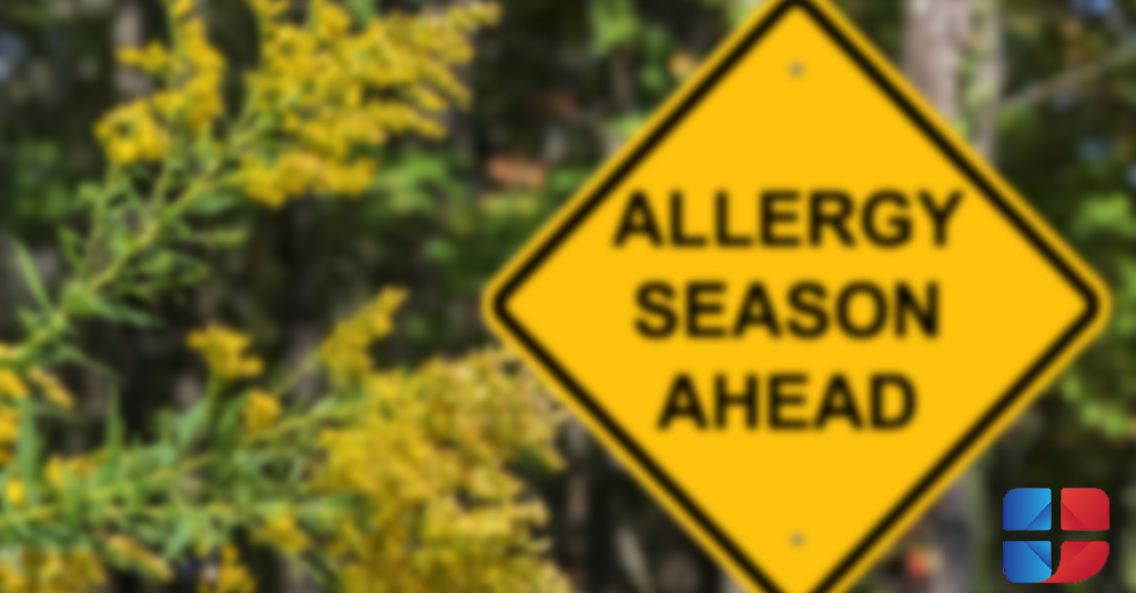 The Allergy Season Survival Guide