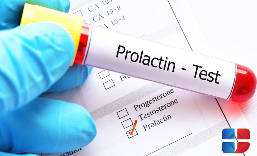 Prolactin is more than just a lactation hormone